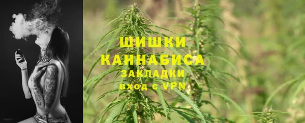 сатива Сосновый Бор