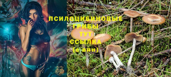 мескалин Богданович
