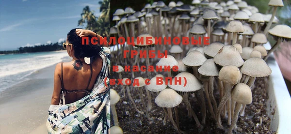 ALPHA PVP Богородск