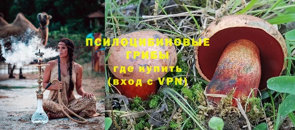 скорость Сосновка