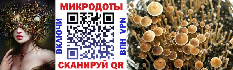 цена МЕГА ССЫЛКА Галлюциногенные грибы Cubensis Южно-Сухокумск